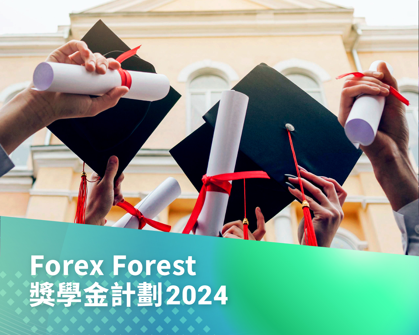 Forex Forest獎學金計劃2024