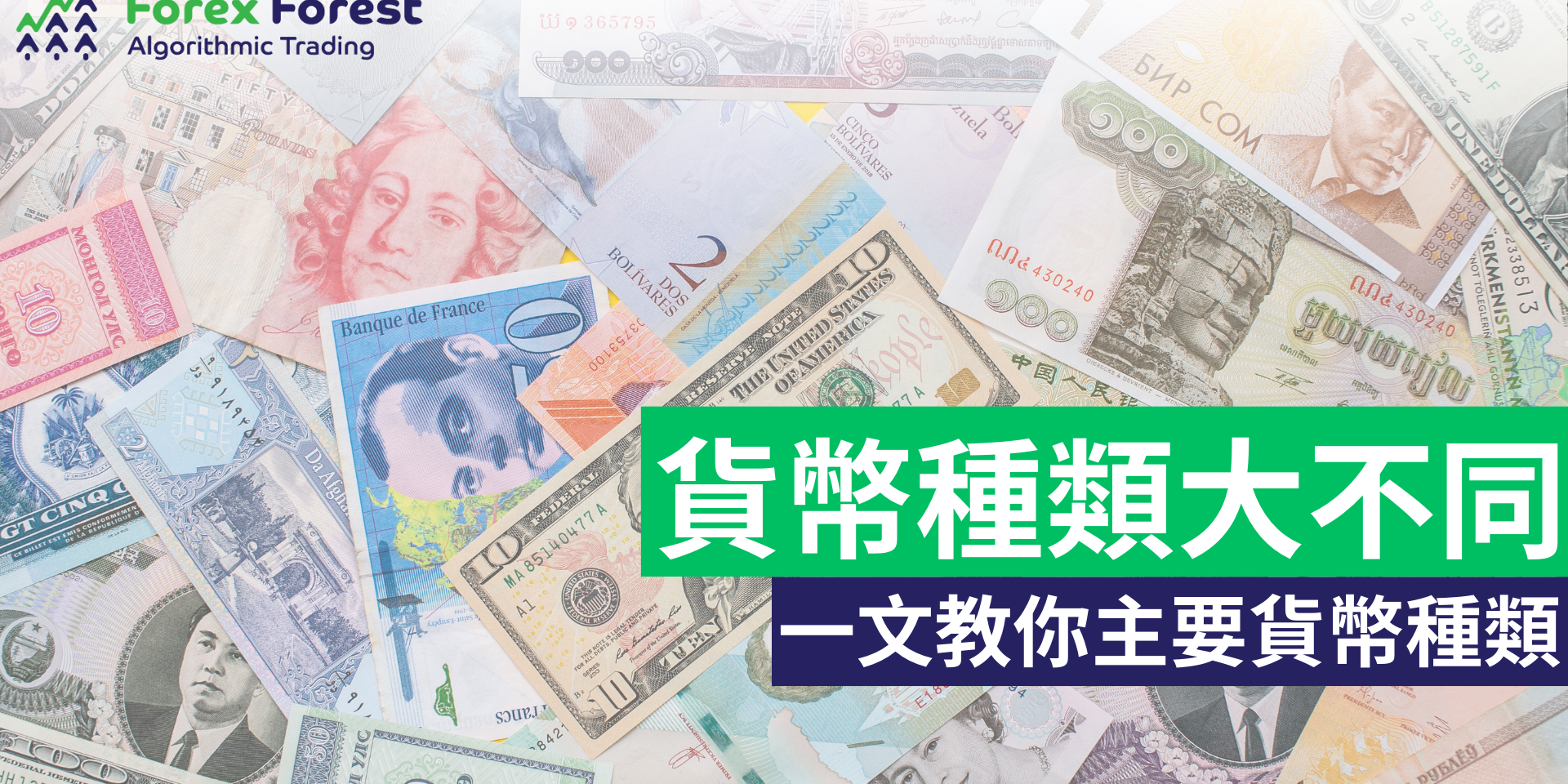 主要貨幣都有甚麼？如何分類貨幣的種類？